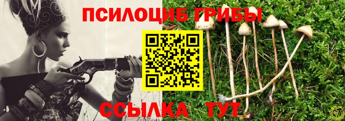 Шумерля  Псилоцибиновые грибы ЛСД  Вход с VPN  где купить наркоту  Галлюциногенные грибы прущие грибы 